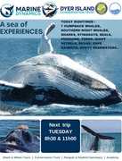 Next Marine Big 5 Trip: 2 July 2024