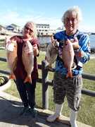 Pragtige Silwervisse Gevang by Birkenhead Boothengelklub