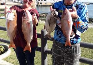 Pragtige Silwervisse Gevang by Birkenhead Boothengelklub