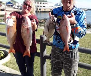 Pragtige Silwervisse Gevang by Birkenhead Boothengelklub