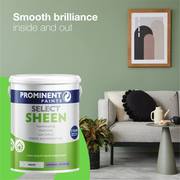 Prominent Select Sheen Paint