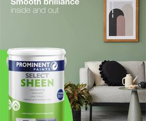 Prominent Select Sheen Paint