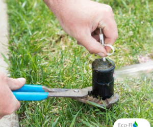 Why Winterize Your Irrigation System