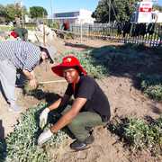 Grootbos Horticulture Students Beautify Gansbaai