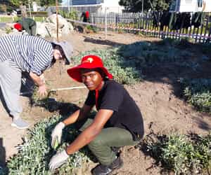 Grootbos Horticulture Students Beautify Gansbaai