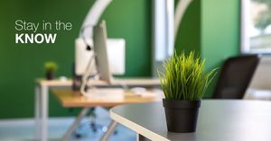 Biophilic Design in Commercial Painting Trends