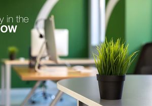 Biophilic Design in Commercial Painting Trends