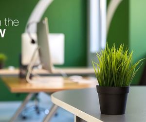 Biophilic Design in Commercial Painting Trends