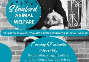 Mandela Day 2024: Help SAWS Feed Animals in Need
