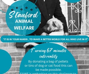 Mandela Day 2024: Help SAWS Feed Animals in Need