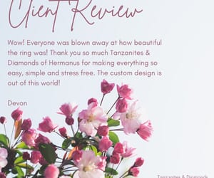 Review from Happy Client (Devon)