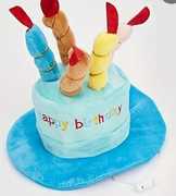 New Dog Products at The Pet Grocer