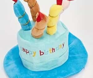 New Dog Products at The Pet Grocer