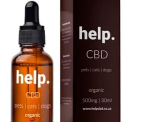 CBD Oil for Pets: Cats and Dogs