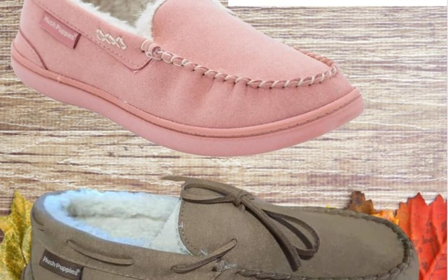 450535040_993333676126186_5431872420961522826_n_1_1720602884