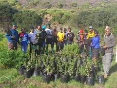 Meet Thilivhali: Championing Conservation at Grootbos Foundation