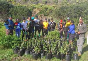 Meet Thilivhali: Championing Conservation at Grootbos Foundation