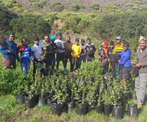 Meet Thilivhali: Championing Conservation at Grootbos Foundation