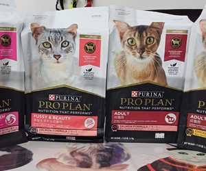 NEW: Purina Pro Plan Cat Food