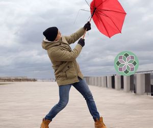 HR Strategies for Handling Workplace Conflicts