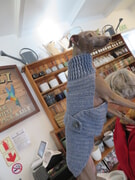 Dog sweaters / Jerseys