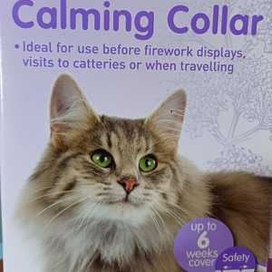 WhatsApp_Image_2024_07_12_at_12.44.06_1720782995