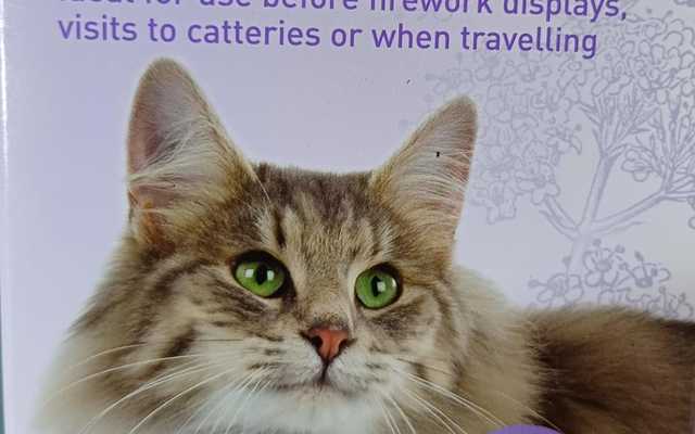 WhatsApp_Image_2024_07_12_at_12.44.06_1720782995