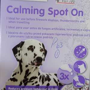 WhatsApp_Image_2024_07_12_at_12.44.27_1720782996