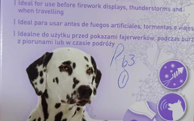 WhatsApp_Image_2024_07_12_at_12.44.27_1720782996