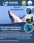 Next Marine Big 5 Trip: 16 & 17 July 2024!