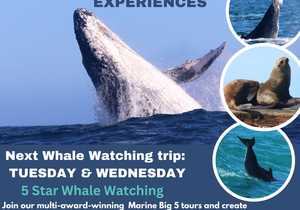 Next Marine Big 5 Trip: 16 & 17 July 2024!