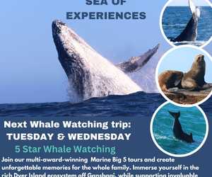 Next Marine Big 5 Trip: 16 & 17 July 2024!