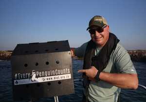 Onrusbarende Afname in Afrika Pikkewyngetalle