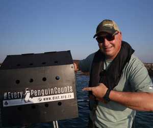 Onrusbarende Afname in Afrika Pikkewyngetalle