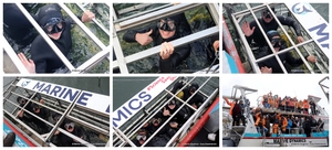 Daily Blog: 16 July 2024 | Shark Cage Diving in South Africa