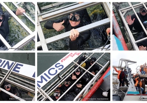 Daily Blog: 16 July 2024 | Shark Cage Diving in South Africa