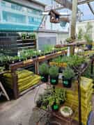 Support the 'Ons Dorp Projek' in Gansbaai!