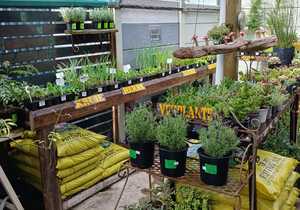 Support the 'Ons Dorp Projek' in Gansbaai!