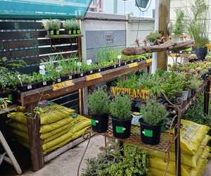 Support the 'Ons Dorp Projek' in Gansbaai!