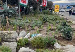 Urgent Appeal for Donations!