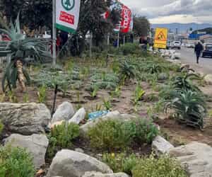 Urgent Appeal for Donations!