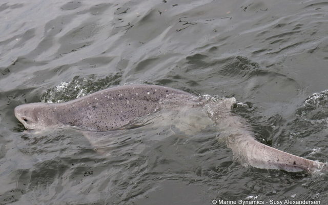 WhatsApp_Image_2024_07_19_at_13.02.37_1721387562