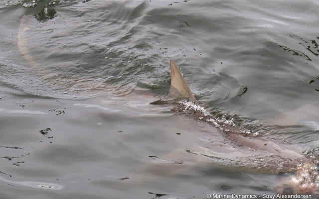 WhatsApp_Image_2024_07_19_at_13.02.37_2_1721387563