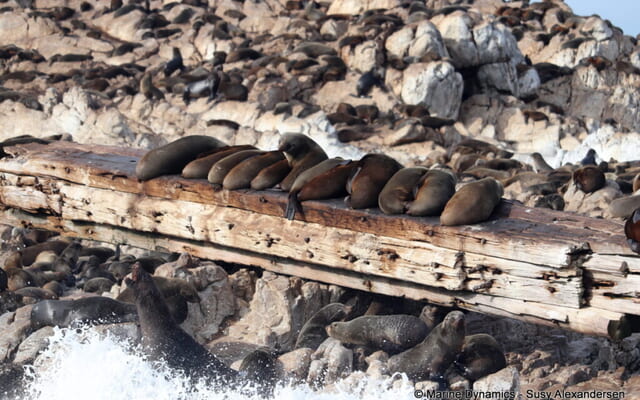 WhatsApp_Image_2024_07_19_at_13.02.38_1_1721387564