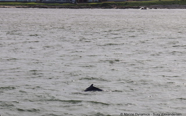 WhatsApp_Image_2024_07_19_at_13.02.39_1721387564