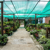 Nursery - Overberg Agri Stanford - Xplorio™ Stanford