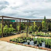 Nursery - Overberg Agri Stanford - Xplorio™ Stanford