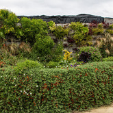 Nursery - Overberg Agri Stanford - Xplorio™ Stanford