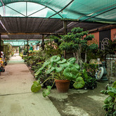 Nursery - Overberg Agri Stanford - Xplorio™ Stanford