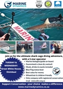Next Shark Cage Diving Trip: 23 + 24 July 2024